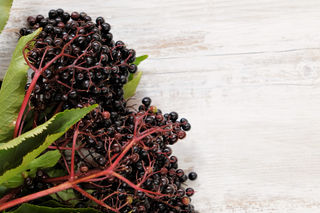 Purple Reign: The Health Marvels of Elderberries!