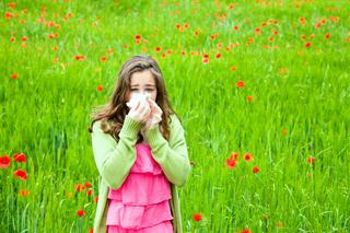 Hay Fever Season: Understanding Histamine, Inflammation and Natural Ways to Support Your Body
