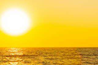 The Importance of Vitamin D